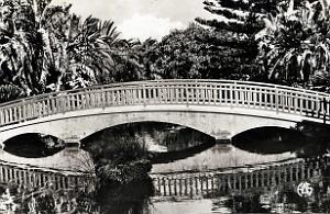 Hammam bou hadjar 523- Le pont COLLECTION DES AMIS DE ND DE SANTA CRUZ